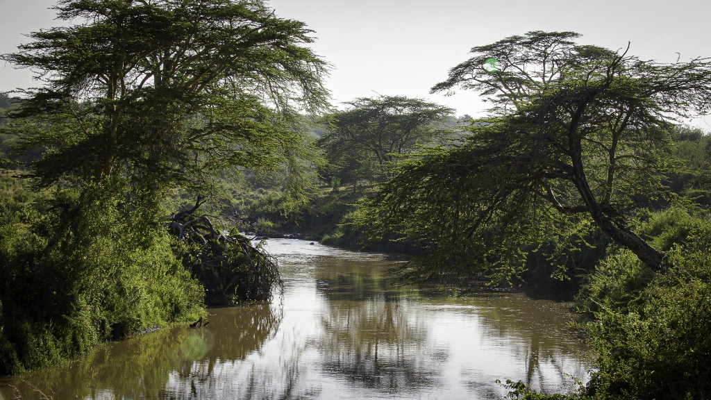 Río